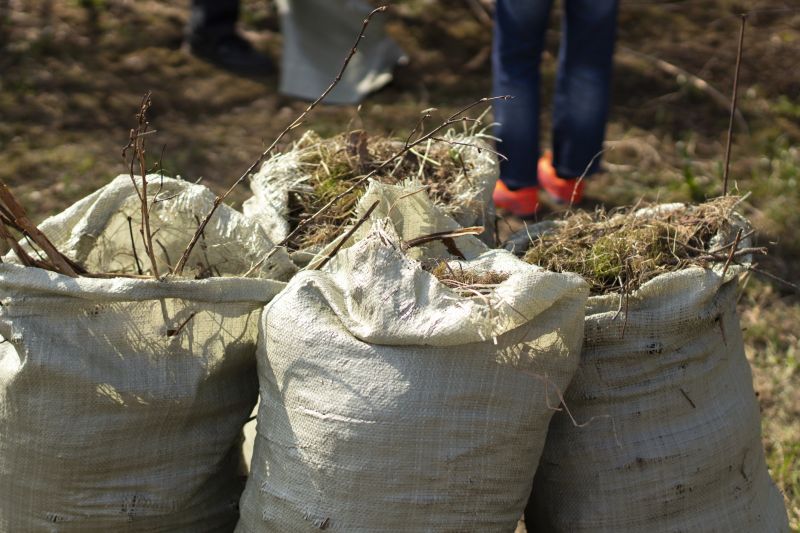 Increase Your Lawn Clean Up Service Business with an AI Driven, Targeted Website