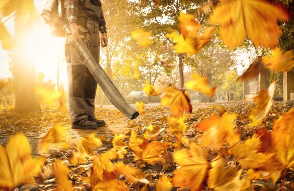 Leaf Blowing Service in Prescott Valley