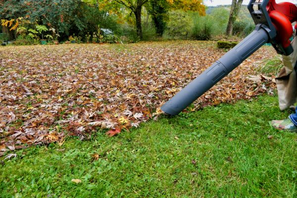 Leaf Vacuuming Service in Prescott Valley
