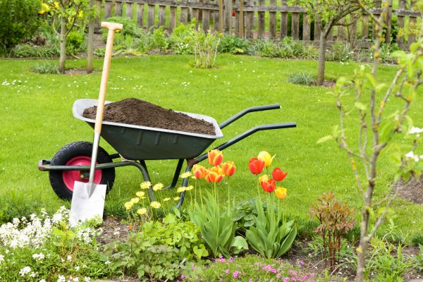 Spring Yard Cleanup in Prescott Valley