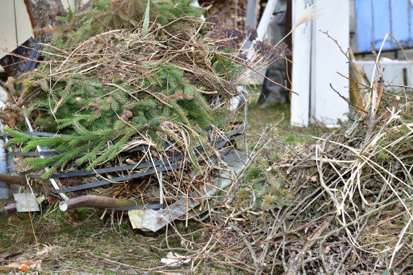 Yard Waste Removal Service in Prescott Valley