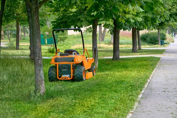 Landscaping Cleanup Service in Prescott Valley
