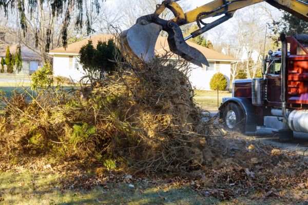 Storm Debris Removal in Prescott Valley