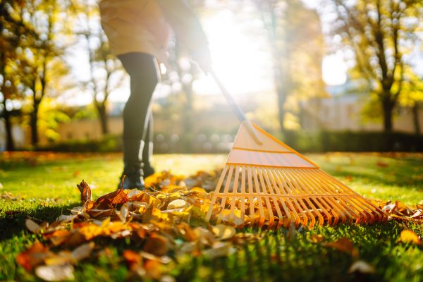 Leaves Raking in Prescott Valley