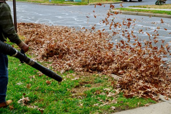 Garden Leaf Removal in Prescott Valley
