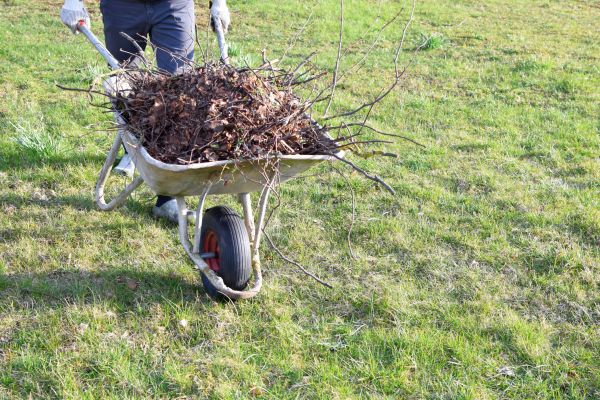 Yard Brush Removal in Prescott Valley