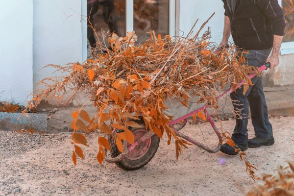 Cost of Lawn Debris Cleanup in Prescott Valley