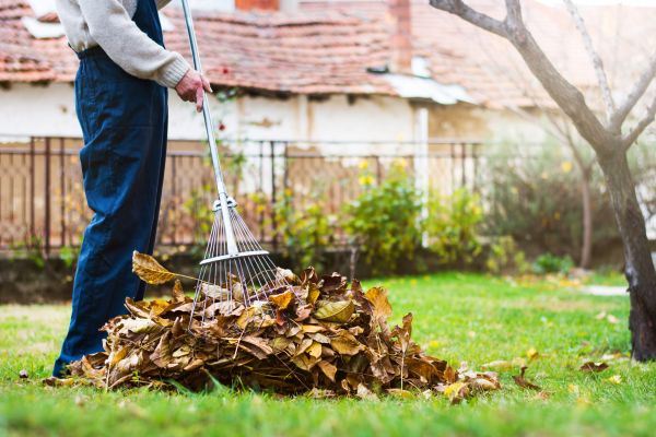 Spring Lawn Cleanup in Prescott Valley