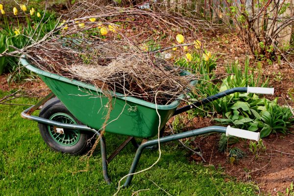 Lawn Waste Removal in Prescott Valley