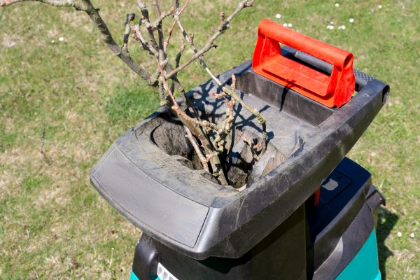 Cost of Brush Cleanup Service in Prescott Valley