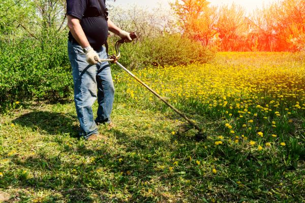 Yard Clearing Service in Prescott Valley