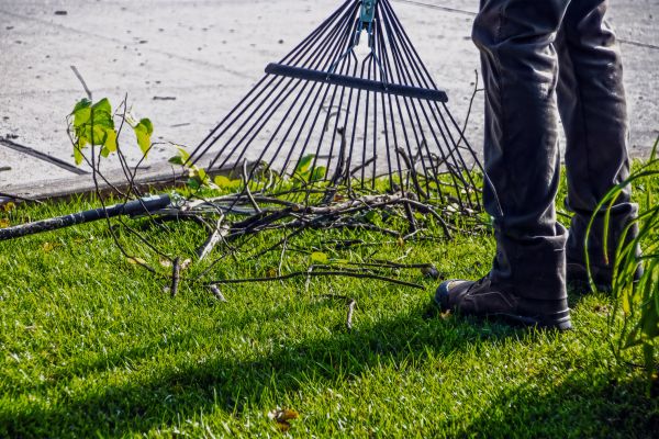 Yard Debris Cleanup in Prescott Valley