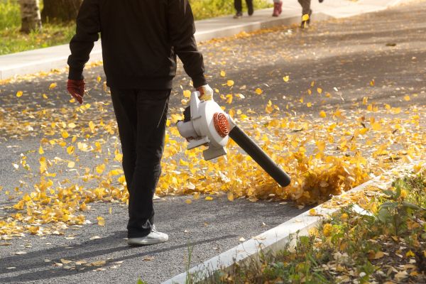 Commercial Leaf Removal in Prescott Valley
