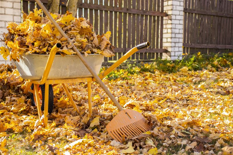 Autumn Yard Cleanup