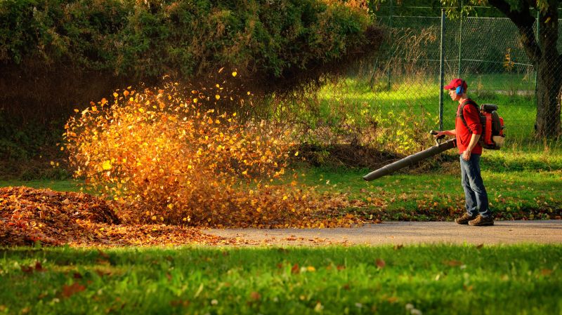 Leaf Blowing Technique